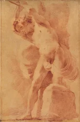 Mannelijke naaktstudie